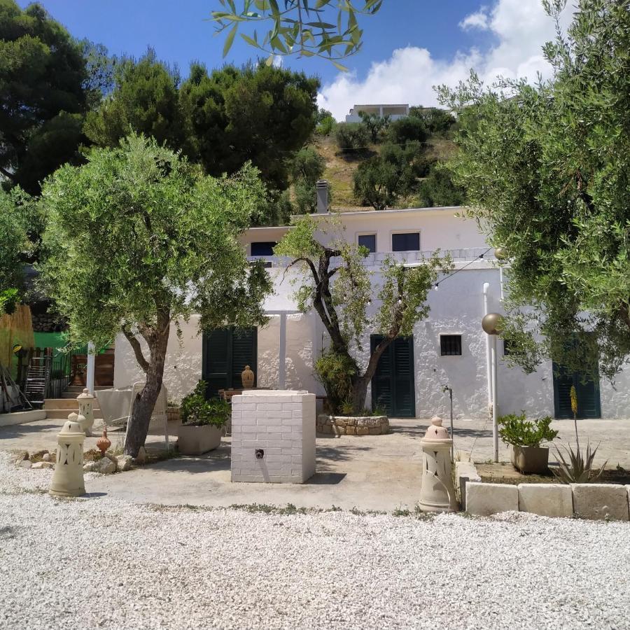 Villa Petra Bianca Charming House à Mattinata Extérieur photo