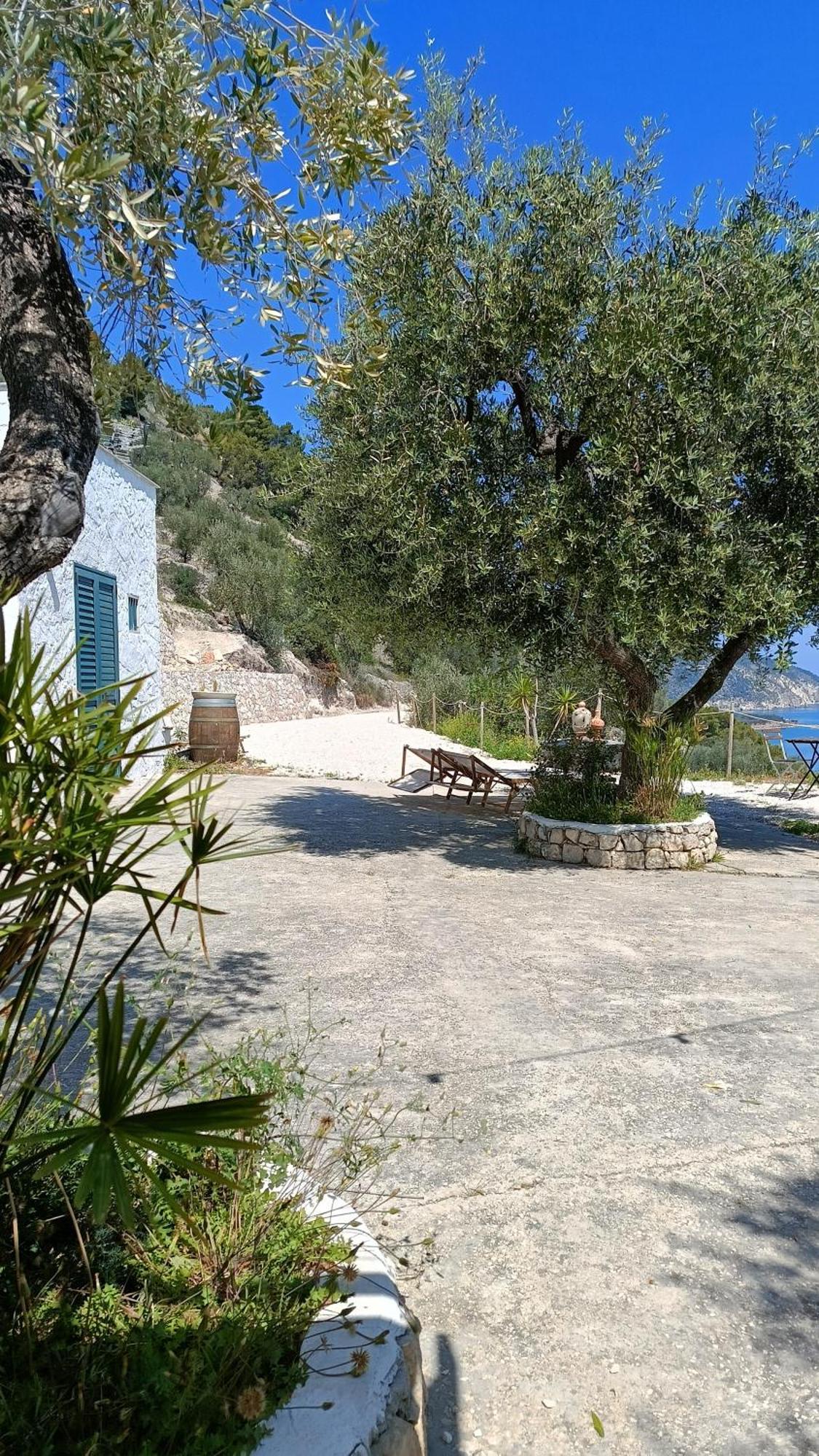 Villa Petra Bianca Charming House à Mattinata Extérieur photo
